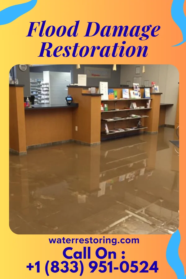 Flood Damage Restoration in Tiki Gardens, HI