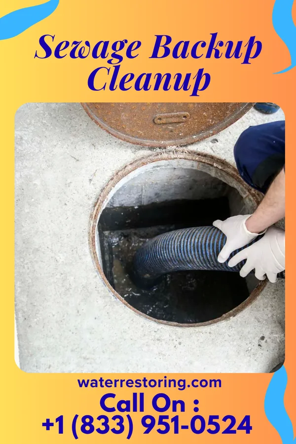 Sewage Backup Cleanup in Tiki Gardens, HI