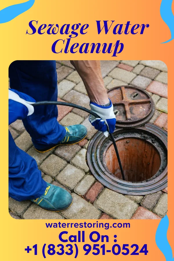 Sewage Water Cleanup in Tiki Gardens, HI