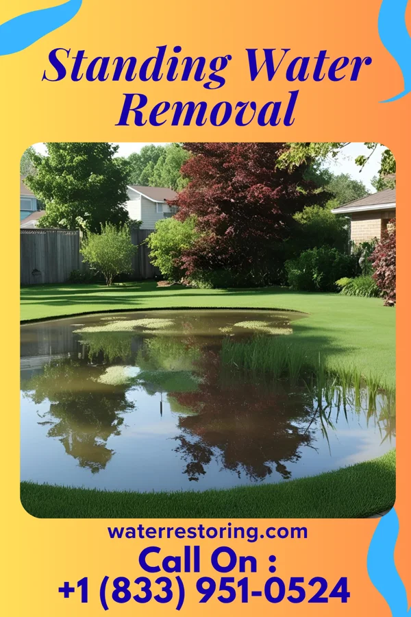 Standing Water Removal in Tiki Gardens, HI